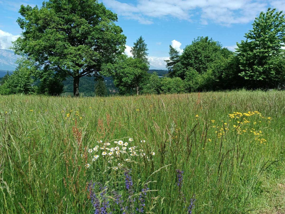 Baita Dei Fovi Baselga di Pinè Exterior foto